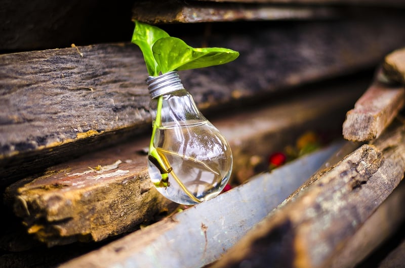 Green Upcycling Projects
